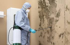 Best Water Damage & Mold Remediation  in USA